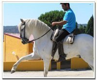 equitacion1