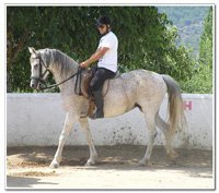 equitacion2